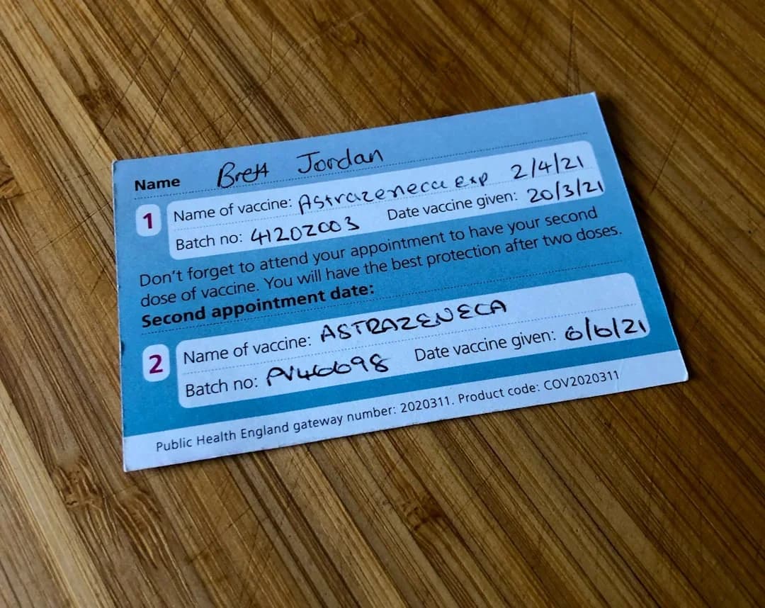 Modern password manager interface showing secure vault with encrypted data