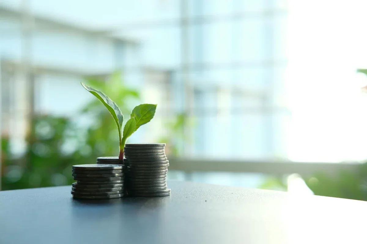 Warning signs and red flags for beginner investors