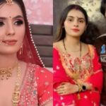 Nikki Bhati dowry case