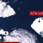 A23a