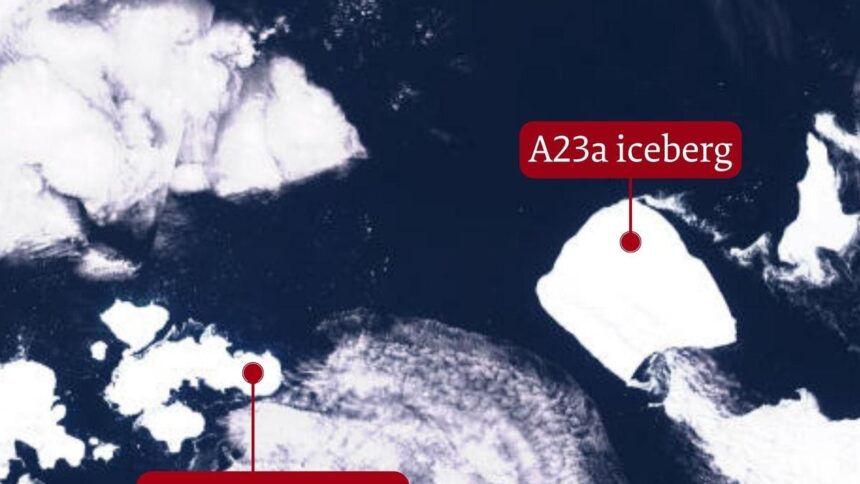 A23a